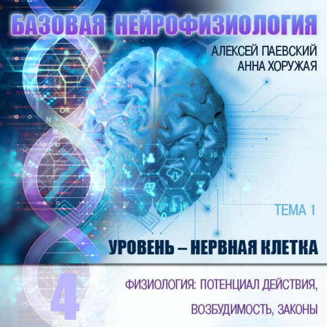 Физиология: потенциал действия, возбудимость, законы.