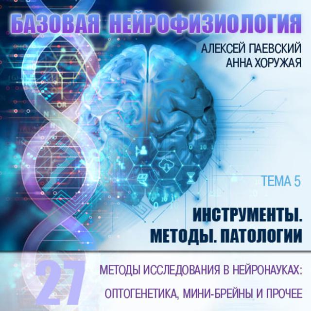 Методы исследования в нейронауках: оптогенетика