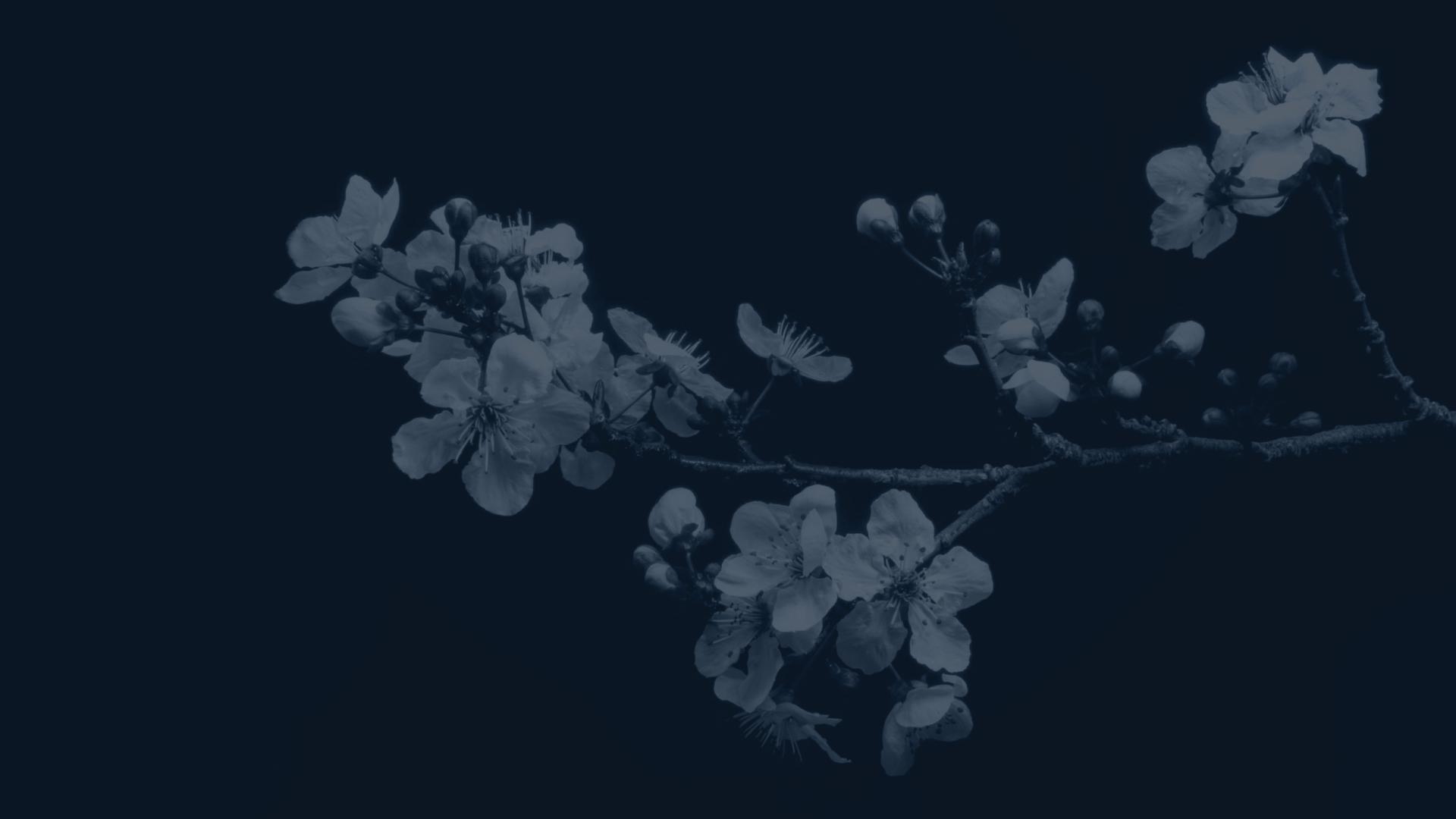 Мифология Японии 🌸