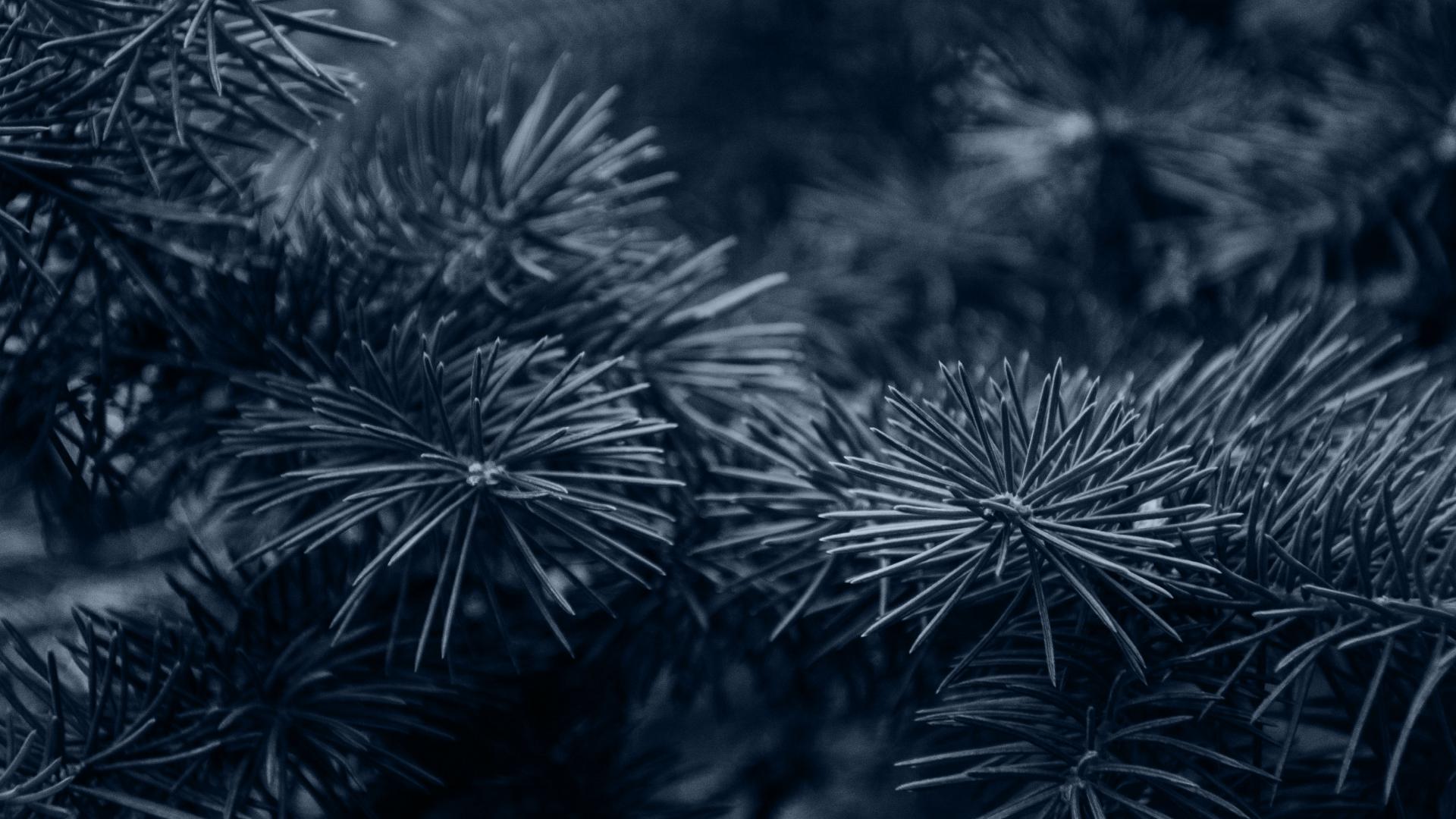 История Нового года