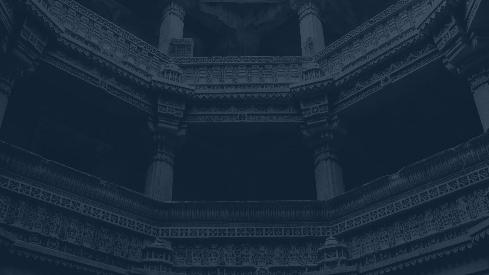 Новые курсы